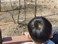 -石家庄市动物园