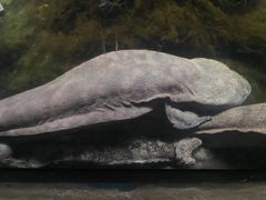 -珠海长隆海洋王国