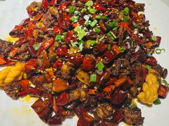 -院8里·小聚园老川菜(九眼桥店)