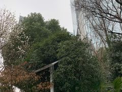 -紫峰大厦