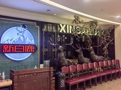 -新白鹿餐厅(爱琴海购物中心店)