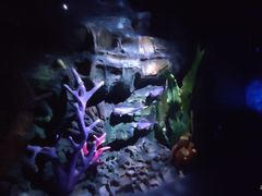 -青岛嘉年华主题乐园