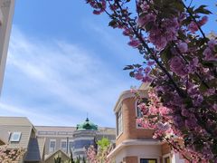 -清风小镇闯关东影视基地