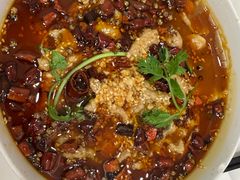 油冲肉片-谢先生酒店·椒宴集(沙湖店)