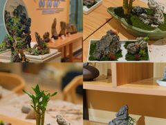 -清泉湾生态旅游度假区