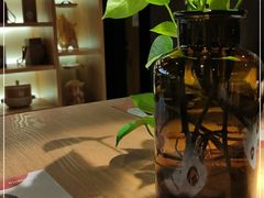 -炖物24章·顺时轻养茶(杭州大厦店)