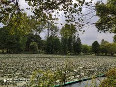 -西安浐灞国家湿地公园