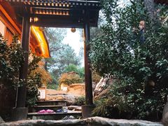 -唐风温泉