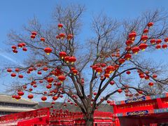 -八大处公园