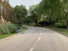 -贡湖湾湿地公园