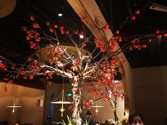 -佬肥猫(国华广场店)