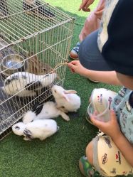 -萌宠亲子动物乐园(槐房万达店)