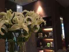 -Dragonfly 悠庭·按摩Spa(苏州中心广场店)