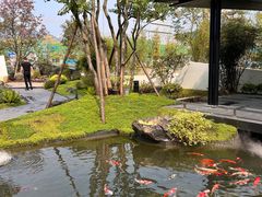 -雅苑中餐厅