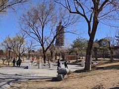 -西海子公园