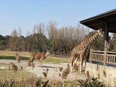 -宁波野生动物园