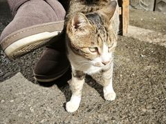 -勇哥饭店(西湖路店)