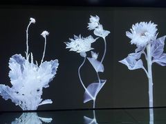 -时代美术馆-成都馆