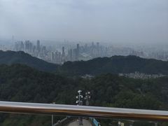 -大金鹰园