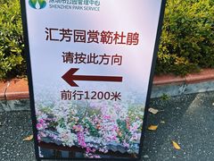 -深圳国际园林花卉博览园
