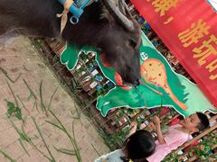 -麻涌飞鸭开心农场
