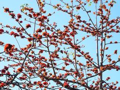 -平安（深圳）金融教育培训中心