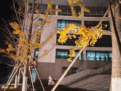 -南京中医药大学(仙林校区)