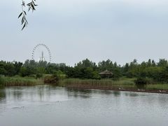 -日照海滨国家森林公园