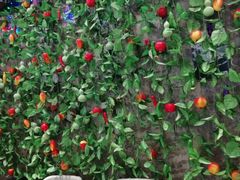 -鸿记煌三汁焖锅(府前路店)