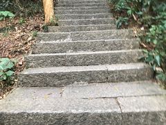 -梧桐山风景名胜区