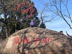 -灵岩山风景区