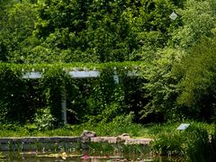 -国家植物园南园