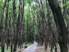 -同里国家湿地公园