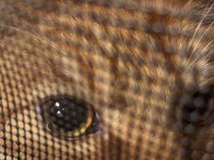 -瑞鹏瑞爱宠物医院·全科·猫科·血液透析中心(龙头寺店)