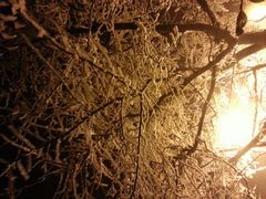 -瑞安圣井山景区