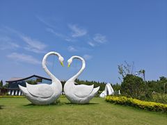 -东平国家森林公园