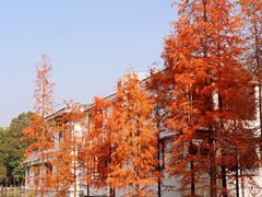 -广州市白云山风景名胜区