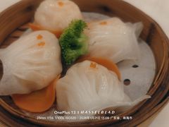 -万山楼海鲜酒家·二十三年老字号