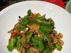 辣椒炒肉-北平盛世·新京菜·北京烤鸭(劲松·双井店)