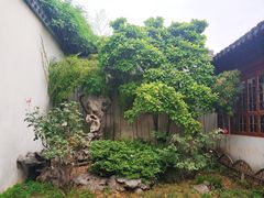 -随柳居·苏式小吃(建新巷店)