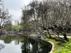 -晓港公园