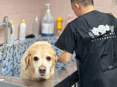 -FAELING PETS美天灵宠物(富力广场店)