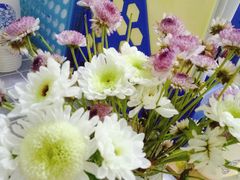 -成都濑川外国语学校