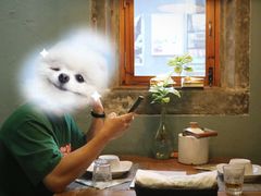 -艺术食堂(创意料理)