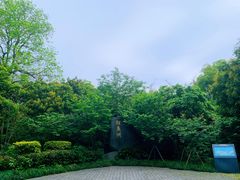 -福建鲤鱼洲酒店