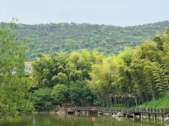 -宝岩生态观光园