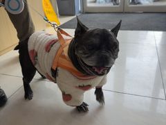 -美联众合动物医院·24h京西诊疗中心