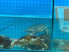 -海景壹号大酒店(惠钱路店)