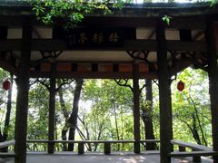 景点-杭州黄龙洞