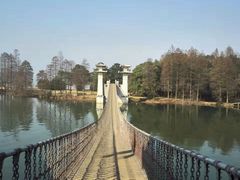 -东湖落雁景区